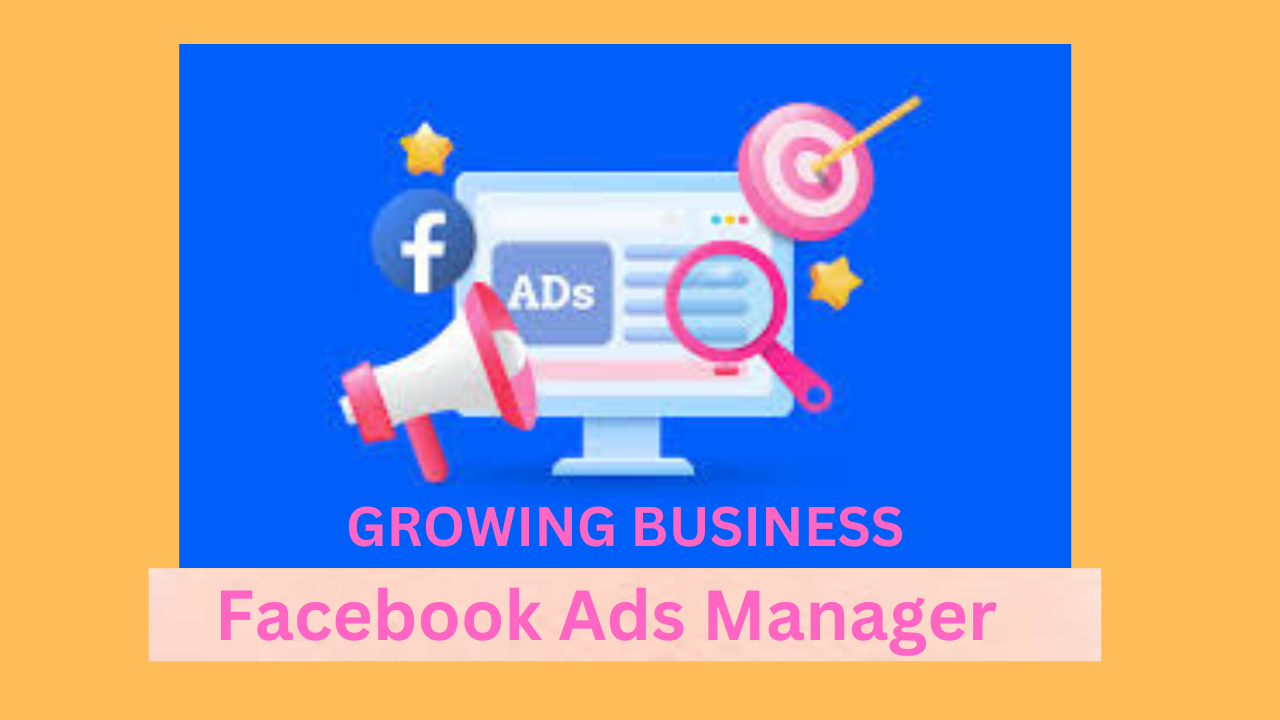 a Facebook Ads Manager 